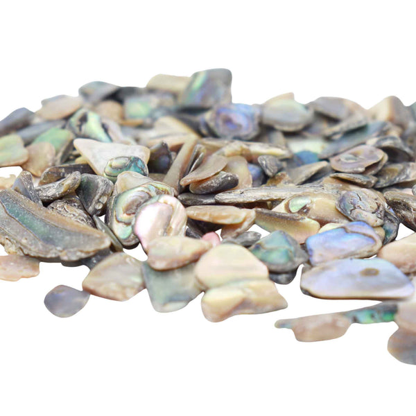 Abalone Crushed Shells