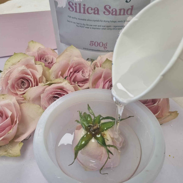 Drying Flowers in Silica Sand
